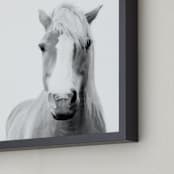 "Presence" - Art Print in Black and White by Debra Butler - Frame Close-up