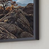 "The Magic Tree" - Art Print in Sky Blue by Christian Florin - Frame Close-up