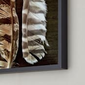 "Fallen Quills" - Art Print in Brown by Misty Hughes - Frame Close-up