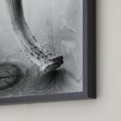 "Antlers" - Art Print in Afternoon Grey by Gabrial Reising - Frame Close-up