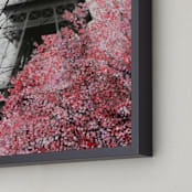 "Paris in Bloom" - Art Print in B&W and Pink by Katrina Leandro - Frame Close-up