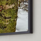 "Winter Green" - Art Print in Green by Misty Hughes - Frame Close-up