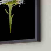 "Member 6" - Art Print in spring green by Shannon - Frame Close-up