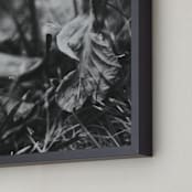 "Beneath Your Feet" - Art Print in Black and White by Catherine Culvenor - Frame Close-up