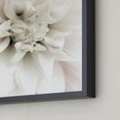 "Soft Dahlia Study 1" - Art Print in dahlia pink by Julie Blackwood - Frame Close-up