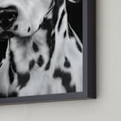 "Dalmation" - Art Print in Graphite Gray by Jerry Winick - Frame Close-up