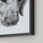 "DogFace" - Art Print in soft grey by Alaine Ball - Frame Close-up