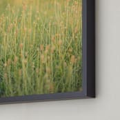 "Sunset Field" - Art Print in Sunset by Sara Heilwagen - Frame Close-up