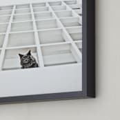 "Sophies Jungle" - Art Print in Black and White by Katrina Leandro - Frame Close-up