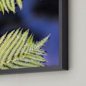 "Ferns and Water" - Art Print in Fern Green by Ilze Lucero - Frame Close-up