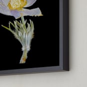 "Member 3" - Art Print in light violet by Shannon - Frame Close-up