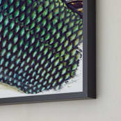 "Abstract Scales 1" - Art Print in Peacock Green by Carole Crohan - CaroleeXpressions - Frame Close-up