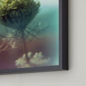 "Skyline Drive Flora Yellow" - Art Print in VA bloom yellow by Meghan Quinn - Frame Close-up