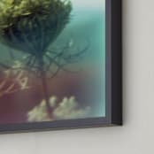 "Skyline Drive Flora Yellow" - Art Print in VA bloom yellow by Meghan Quinn - Frame Close-up