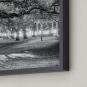"Park Dreams" - Art Print in Black and White by Mark Kirby - Frame Close-up
