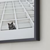 "Sophies Jungle" - Art Print in Black and White by Katrina Leandro - Frame Close-up