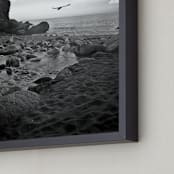 "Limekiln State Park" - Art Print in Silvery Tones by Mechelle Gilford - Frame Close-up