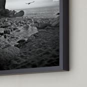 "Limekiln State Park" - Art Print in Silvery Tones by Mechelle Gilford - Frame Close-up