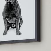 "Happy Lab" - Art Print in Black and White by Katrina Leandro - Frame Close-up