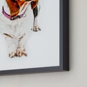 "Happy Basset" - Art Print in Rusty red by Katrina Leandro - Frame Close-up