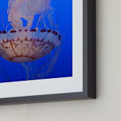 "Jelly 2" - Art Print in aquarium blue by Sea and Sky - Frame Close-up