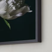 "Single Vintage Peony" - Art Print in soft white by Alexis Arnold - Frame Close-up