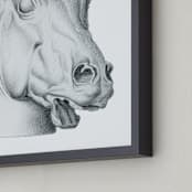 "equine study 1" - Art Print in graphite by Deborah Chou - Frame Close-up