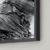 "Polyxena Nº1" - Art Print in Grey by Anne Ciotola - Frame Close-up