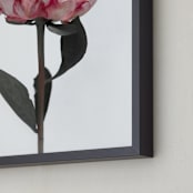 "Peonia" - Art Print in Blush by Rosana Laiz Blursbyai - Frame Close-up