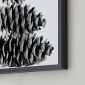 "Stacked Pine Cones" - Art Print in black and white by Alexis Arnold - Frame Close-up