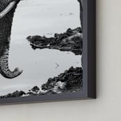 "Maloutswa " - Art Print in charcoal by Zani van Zyl - Frame Close-up