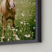 "Horse In Field of Flowers" - Art Print in brown by Alexis Arnold - Frame Close-up