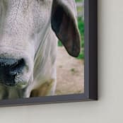 "Brahman " - Art Print in grey by Alexis Arnold - Frame Close-up