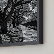 "Curly Tree Alley in Oahu" - Art Print in Strong Black and White by Rasa Puzinaite - Frame Close-up