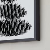 "Stacked Pine Cones" - Art Print in black and white by Alexis Arnold - Frame Close-up