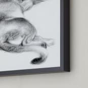 "Puma" - Art Print in stormcloud by Tracy Ann - Frame Close-up