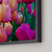 "Springtime Tulips" - Art Print in tulips pink by Sea and Sky - Frame Close-up
