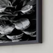 "Pine Cone Detail" - Art Print in black by Alexis Arnold - Frame Close-up