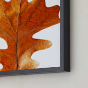 "Oak Leaf" - Art Print in rustic orange by Alexis Arnold - Frame Close-up