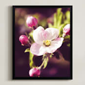 "Pink Apple Blossoms in Spring" - Art Print in Blossom Pink by Katrina Lindhorst - Framed