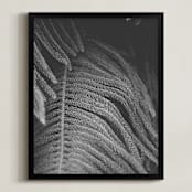 "Pine Peter" - Art Print in Grey Pine by K.Short - Framed