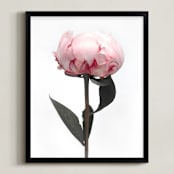 "Peonia" - Art Print in Blush by Rosana Laiz Blursbyai - Framed