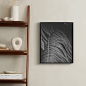 "Pine Peter" - Art Print in Grey Pine by K.Short - In a Room
