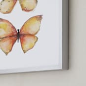"Rhopalocera One" - Art Print in Orange by Erin Deegan - Frame Close-up