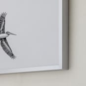 "Gliding Pelican Over Lake" - Art Print in Monochrome by Mary Ann Glynn-Tusa - Frame Close-up