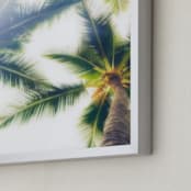 "look up" - Art Print in Foliage Green by Courtney Crane - Frame Close-up