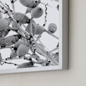 "Tiny Coconuts" - Art Print in Whimsical White by Jonathan Brooks - Frame Close-up