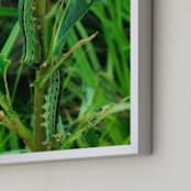 " Cryptic Caterpillars" - Art Print in Leafy Green by Sonya F Contino - Frame Close-up