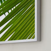 "Tropical Sway" - Art Print in Beach Green by Jonathan Brooks - Frame Close-up