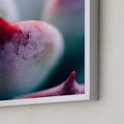 "Reverence" - Art Print in Light Pink by Briana Grace - Frame Close-up